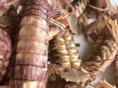 -叶存利海鲜大馅饺子(东戴河止锚湾店)