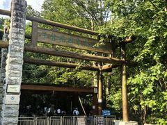 -牛背梁国家森林公园