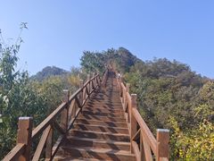 -大岭沟猕猴桃谷风景区