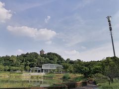 -王借岗森林公园