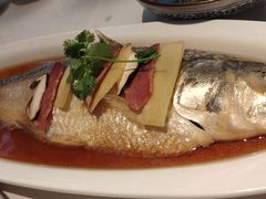 酒香大鲥鱼-丰收日·小海鲜·沪上家宴(顾村正大店)