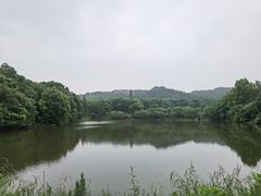 -青龙山国家森林公园