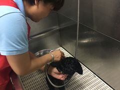 -北京观赏动物医院·24小时大型综合·猫专科·异宠专科