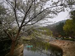 -北岭山森林公园