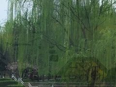 -食悦江南·淮扬菜·烤鸭(亚运村·惠新店)