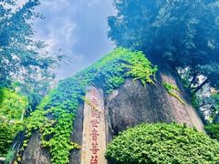 -南普陀寺