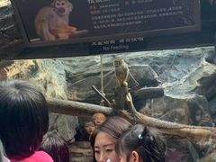 -皇家极地海洋世界-售票处