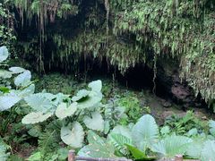 -海口火山口国家地质公园
