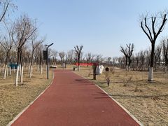 -天津东丽湖风景区