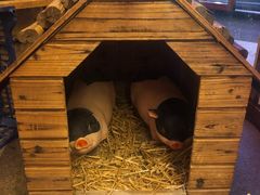 -王村姑老土炕莜面村(张北店)