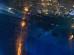 -海棠湾洲际-涛·海底餐厅·美人鱼·自助餐·海底隧道