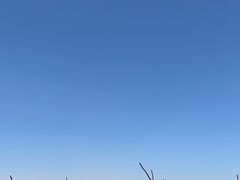 -达拉特旗响沙湾旅游区