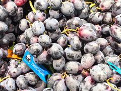 -浦江城市生活广场(江月路店)