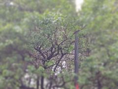 -苏宁易购(上海沪太路二店)