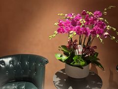 -霖公馆SPA·足道(普善路店)