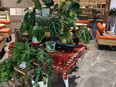 -Sips&Lick茶兰咖啡(五道口店)