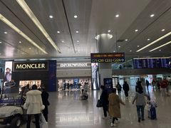 -上海浦东国际机场-T2航站楼
