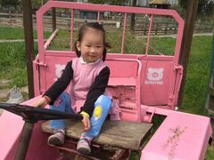 -田园东方蜜桃村的田野营地