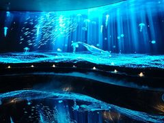 -唐宫足道·SPA·住宿24H会所(木渎店)