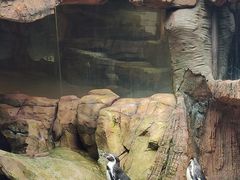 -长鹿旅游休博园