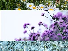 -烟水渔庄餐厅(西溪湿地店)