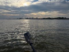 -碧海金沙