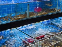 -佰园全日西餐厅-厦门佰翔软件园酒店