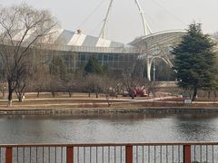 -石家庄市植物园