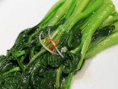 -蒙料·手把肉(望京店)