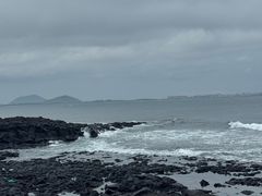-涉地可支