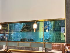 -顺峰顺水顺德菜(龙华店)
