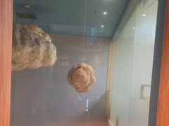 -IBOBI早教·托班·国际家庭互动成长中心(欢乐海岸中心)