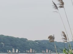 -上海市保健医疗中心