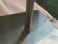 -御花园·粤菜·海鲜火锅(中山公园店)