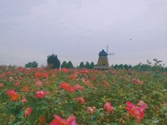 -君乐宝优致牧场