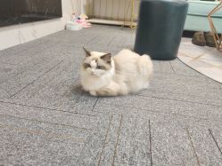 -元一肌肤管理中心