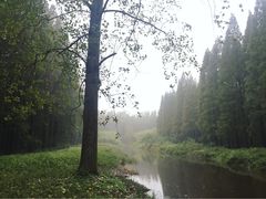 -黄海国家森林公园