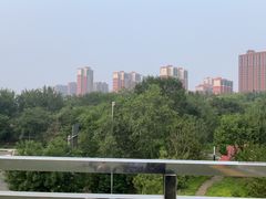 -东升八家郊野公园