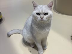 -鹏欣水游城