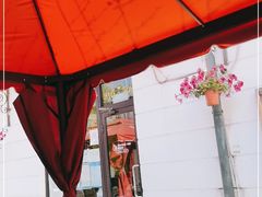 -油梨树AVOCADO TREE(顺义新国展店)