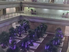 -南京禄口机场雅高铂尔曼大酒店