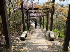 -缥缈峰景区