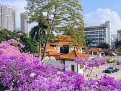 -深圳仙湖植物园