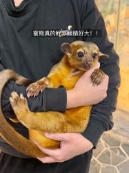 -Zoolung Zoolung动物主题公园(海信广场店)