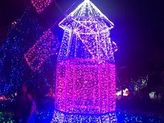 -哈尔滨文化公园