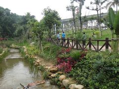 F:\图片\图像\羊台山公园\DSC01223-阳台山森林公园