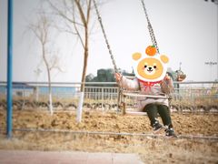 -凤凰欢乐大世界