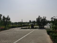 -绿堤公园