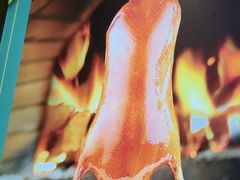 -紫光园·烤鸭(吕家营店)