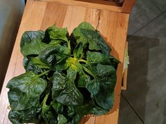 -巴奴毛肚火锅(丛台西路店)